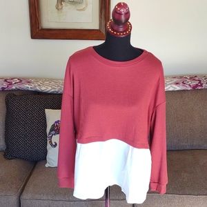 Shein Top, super cute long sleeve babydoll style. Like new!